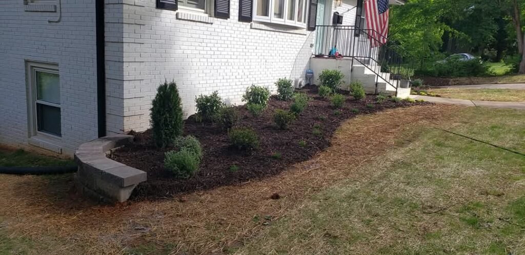 Outdoor property improvement by TRI Reyes Landscaping